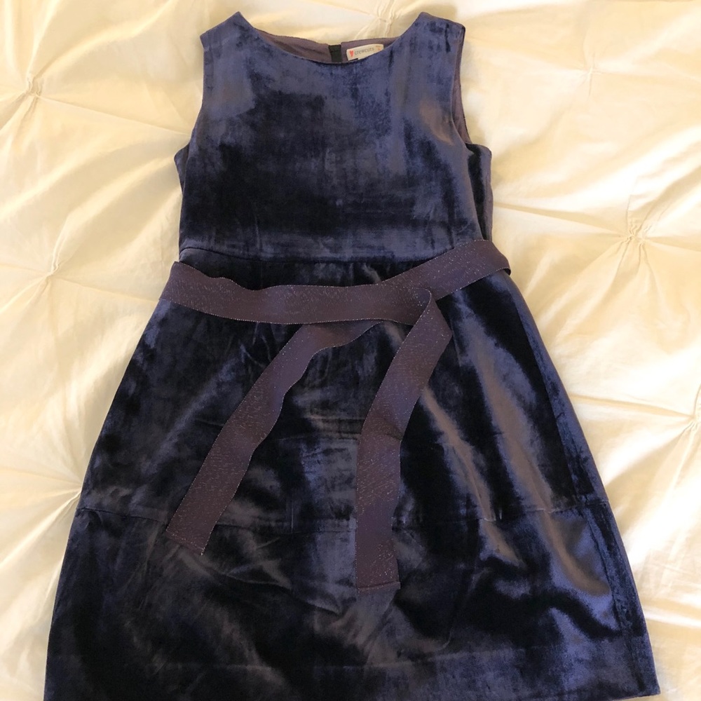 CrewCuts Plum Velvet Dress Size 8
